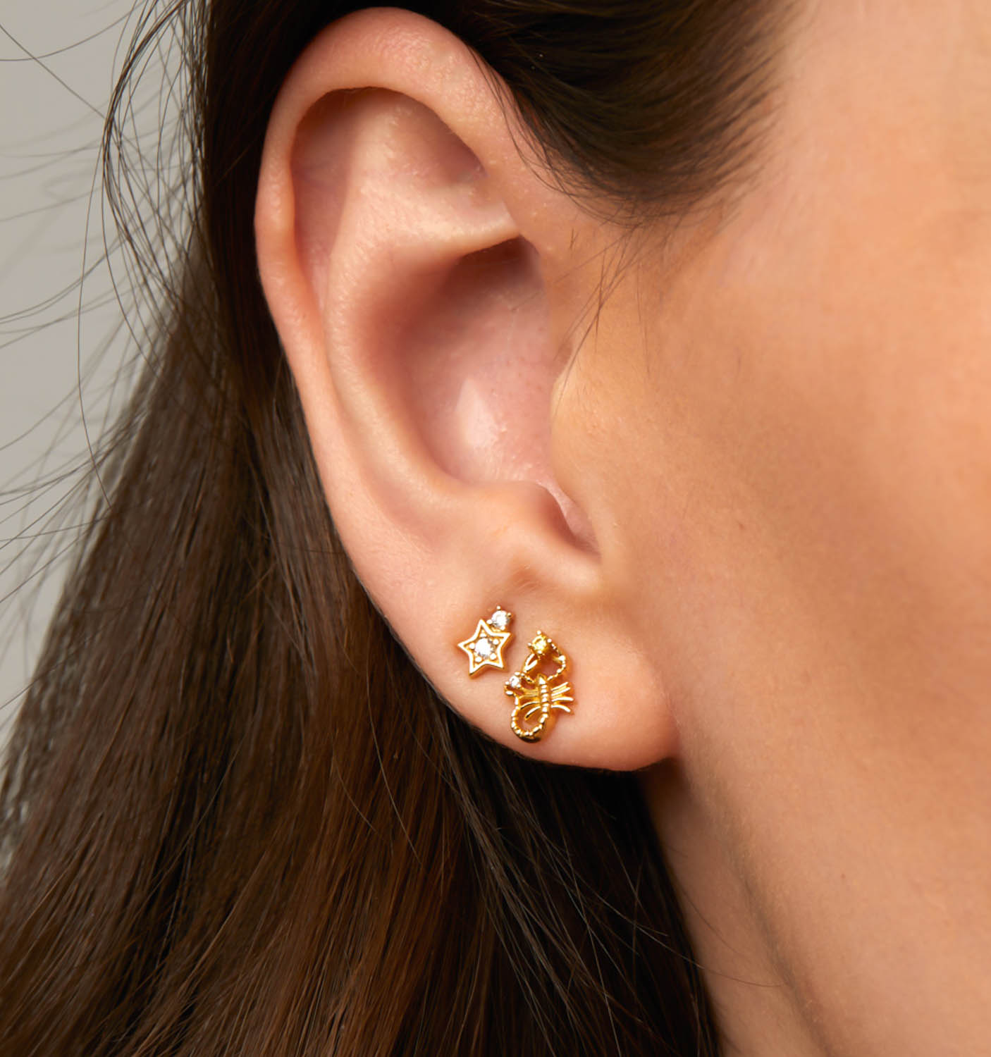 Buy LOOM TREE® 1 Pair Non Piercing Clip on Magnetic Ear Stud Men Fake Earrings  Scorpion| Fashion Jewelry | Earrings at Amazon.in